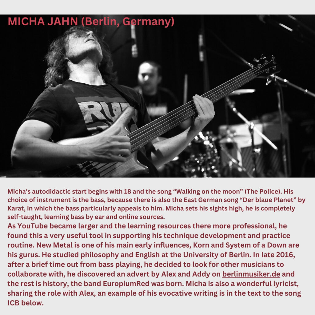 Micha Jahn playing the bass.